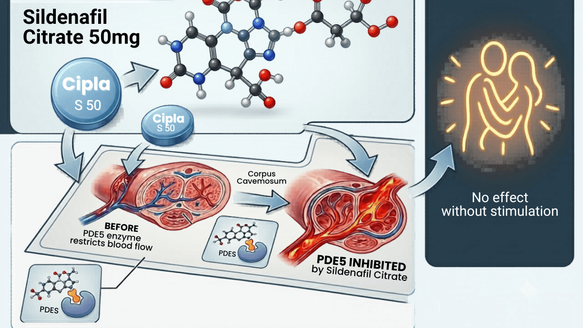 Diagram showing how Sildenafil Citrate 50mg inhibits PDE5 enzyme to improve blood flow for erectile dysfunction treatment